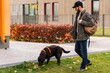 © NFstock - Full length view of the bearded caucasian brunette man walking with his brown Labrador dog while standing at the street and smiling. Pets concept