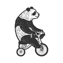 Panda Bear Ride Circus Bicycle Sketch Engraving Vector Illustration. T-shirt Apparel Print Design. Scratch Board Imitation. Black And White Hand Drawn Image.