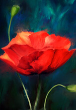 Concept Poppy Pattern On An Abstract Background	
