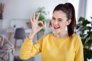 photo of crazy nice charismatic positive lovely lady show okey signs wink wear yellow pullover comfo