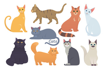  Cute cats vector set. Cartoon cat or kitten characters collection in different poses. Pet animals collection on white background