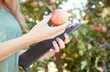 © Jade M/peopleimages.com - Closeup of female farm worker holding an apple and a notepad on a fruit farm during harvest season. Caucasian female farmer between apple trees on a sunny day.