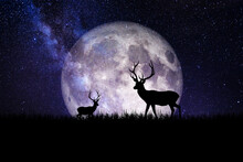 Deer On The Background Of The Beautiful Moon. Image Elements Furnished By NASA.