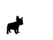 © Natphatsorn_Jib - Hand drawn illustrations of French Bulldog shadow, isolated on white background. Design for Wallpaper, Print, Card, Cover, Banner, Logo and Web design.