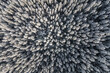 © AmazingAerialAgency - Aerial view of a forest with pine trees in winter, Oregon, United States.