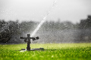 Wall Mural - Automatic watering system sprays water on the lawn. Irrigation.