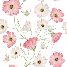 Pink Blush Soft Flowers Backdrop Floral Watercolor Seamless Pattern
