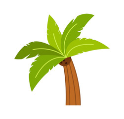 Wall Mural - Palm Tree Tropical Plant. Vector illustration