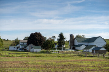 Wall Mural - Amish farm in the Spring countryside in Holmes County, Ohio