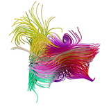 Fototapeta Motyle - 3d abstract composition of colorful lines. Futuristic design element. 3d illustration