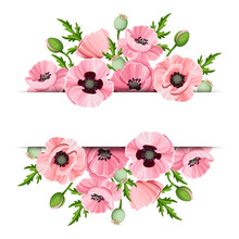 Banner With Pink Poppy Flowers. Vector Illustration