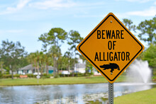 Warning Beware Of Alligator Sign At The Edge Of A Lake In Florida. 