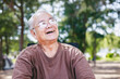 © Sumala - Elderly retired healthy lifestyle. Asian retirement senior relax on chair on a summer day in park