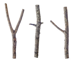 sticks of dry dead branches,  isolated