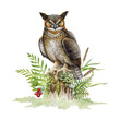 Great horned owl on mossy stamp. Watercolor illustration. Bubo virginianus North America native avian. Hand drawn realistic eagle owl in nature forest scene with fern, grass, berries
