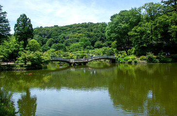 町田薬師池公園　東京都｜緑が深まる初夏の薬師池とタイコ橋の景観です
