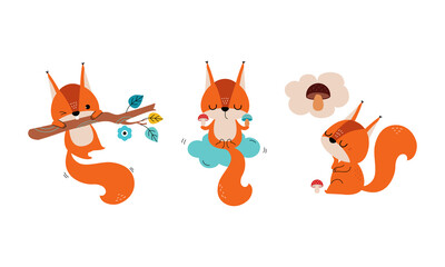 Poster - Red Fluffy Squirrel with Bushy Tail Hanging on Tree Branch and Dreaming of Mushroom Vector Set