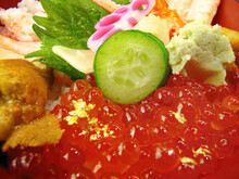 Close-up Vibrant Color Of Freshness Salmon Roe, Sea Urchin Eggs, Crab Meat Topping On Japanese Rice Sashimi Don With Cucumber Ginger And Wasabi