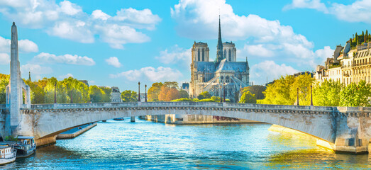 Wall Mural - Notre Dame de Paris -  view from bridge on Seine river