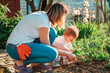 Young mother teaches her toddler daughter to weed the herbal beds with a toy shovel. Side view. Family gardening concept
