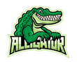 Green crocodile alligator icon on white background. 