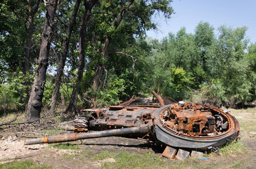 Wall Mural - Landscapes of Ukraine after the invasion of Russian invaders