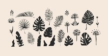 Hand Drawn Vector Abstract Stock Flat Graphic Sketch Drawing Illustrations Collection Set With Logo Elements Of Tropical,black Exotic Palm Leaves Silhouettes Art In Simple Style For Branding,isolated.