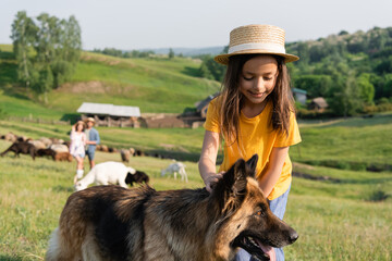 Sticker - smiling child in straw hat stroking cattle dog near parents herding flock on blurred background.