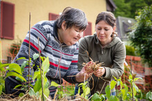A Caregiver Explains To A Mentally Handicapped Woman How To Mulch With Straw
