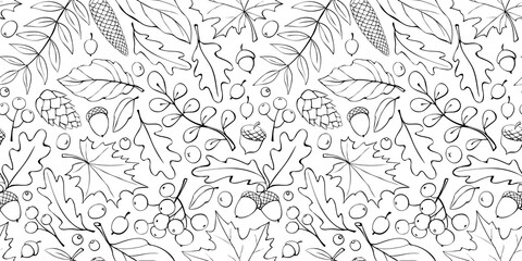 Wall Mural - Seamless pattern falling leaves, acorns, berries, cones. Vector autumn texture isolated on white, hand drawn in doodle style, black outline. Concept of forest, leaf fall, nature, thanksgiving