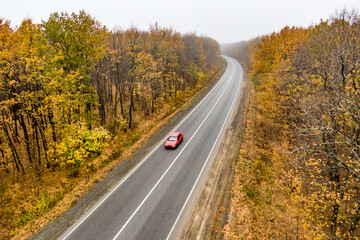 Wall Mural - red car driving on the asphalt road through the autumn forest into the mist. travel and transportation concept