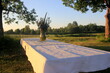A large wooden table with a white tablecloth and a vase of meadow flowers stands in a green meadow under large trees on the shore of a lake, a Summer Solstice food table in the yellow sunset light
