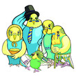 Family of budgerigars grandfather, grandmother, mother, father and child vector illustration