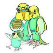 Family of wavy parrots mom, dad and baby vector illustration