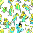 seamless pattern of wavy parrot different images vector illustration