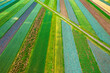 Kolorowe pola uprawne widziane z góry, rolniczy krajobraz polskiej wsi. 


