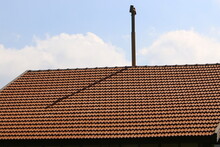 Red Tiled Roof On A Residential Building In Israel
