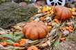Pumpkin and corn decorations at a harvest festival