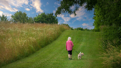 Senior woman walking dog on a sunny summer day