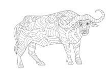 African Buffalo For Your Coloring Book