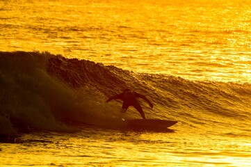 Sticker - Silhouette Surfer at Sunset