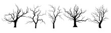Set Of Dead Tree Silhouettes. Black Trees Without Leaves. Halloween Tree Icons. Vector Illustration