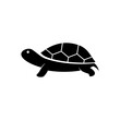 © joko - turtle isolated on white