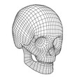 Polygon Mesh or Wireframe Skull Over White Background