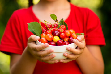 A cute girl of 6 years old in a red dress picks cherries in the garden at sunset. Summer. Eco-friendly products. Delicious food. Fruit. Childhood.