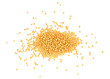 Pile of yellow mustard seeds isolated on a white background, top view.