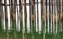 Reflection Of The Wooden Pilings Of Pier In The Cold Ocean At Icy Strait Point In Alaska On Cloudy Day
