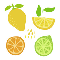 Lemon and lemon slice, orange slice, lime half clipart. Summer juice isolated citrus yellow green hand drawn illustration for menu, card, tshirt design