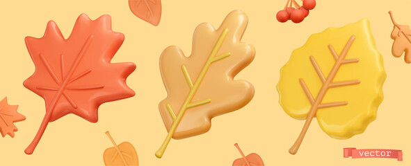 Wall Mural - autumn leaves. maple, oak, poplar 3d vector icon
