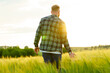 © makedonski2015 - A man in a shirt and jeans walks through a field with wheat. Beautiful sunset